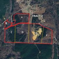 Marion County Homesite Tract 2A images 3