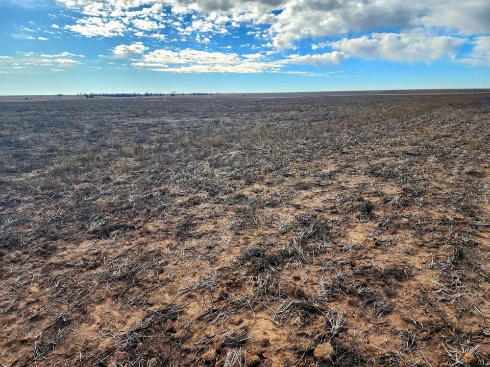 Cropland Pasture Quarter Section with Hunting Lease Income featured image