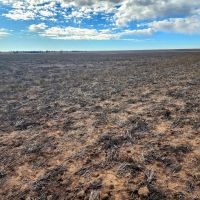 Cropland Pasture Quarter Section with Hunting Lease Income