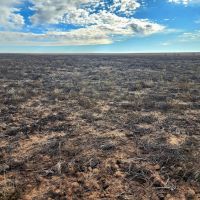Cropland Pasture Quarter Section with Hunting Lease Income images 3