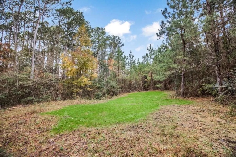 46 - Acres Connected to Homochitto Forest for Sale featured image