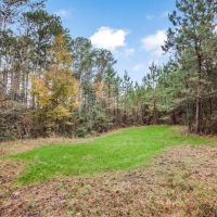 46 - Acres Connected to Homochitto Forest for Sale