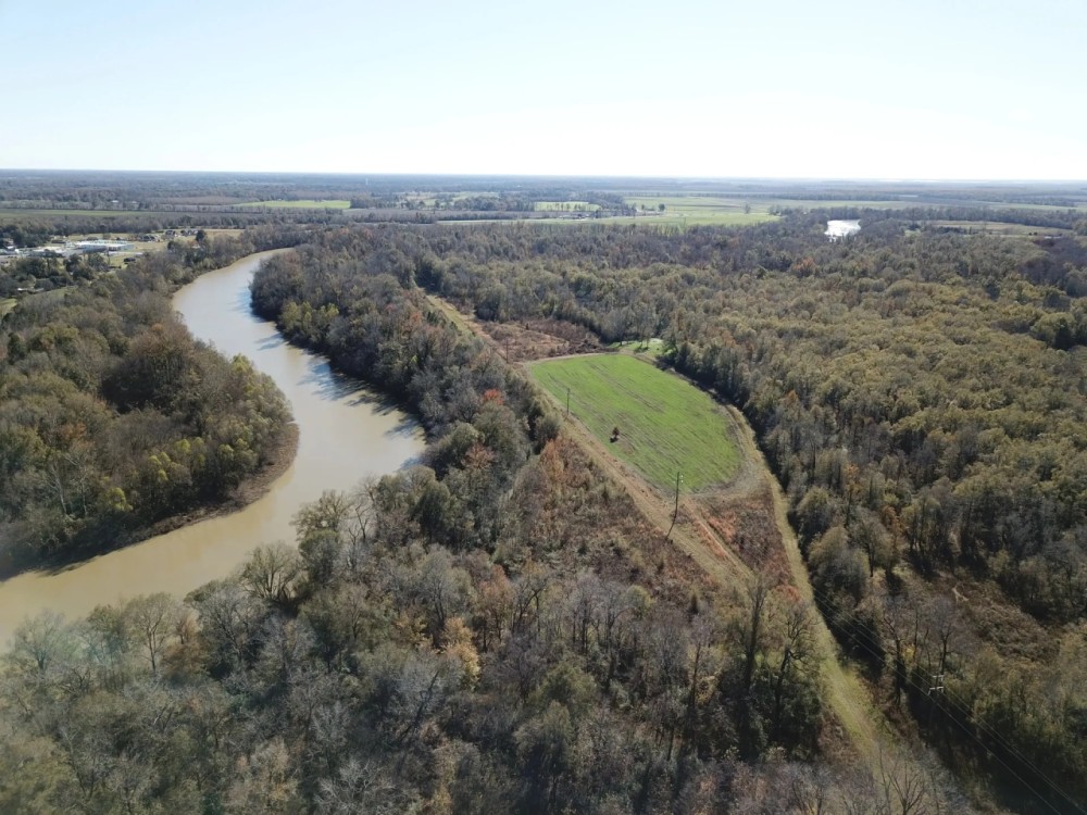 LA - Catahoula 258 acres - featured image