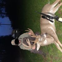 LA - Catahoula 258 acres - images 2