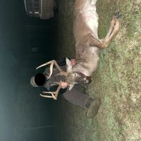 LA - Catahoula 258 acres - images 5