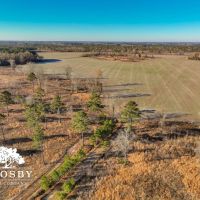 Mims Road Farm 3 images 3