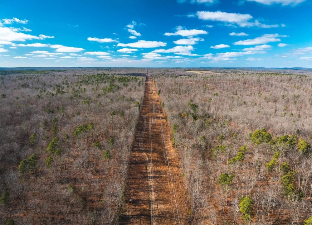 Tall Tines Timberland Tract 1 featured image