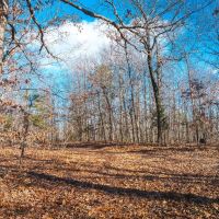 Tall Tines Timberland Tract 1 images 2