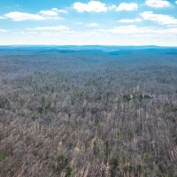 Tall Tines Timberland Tract 1 images 3