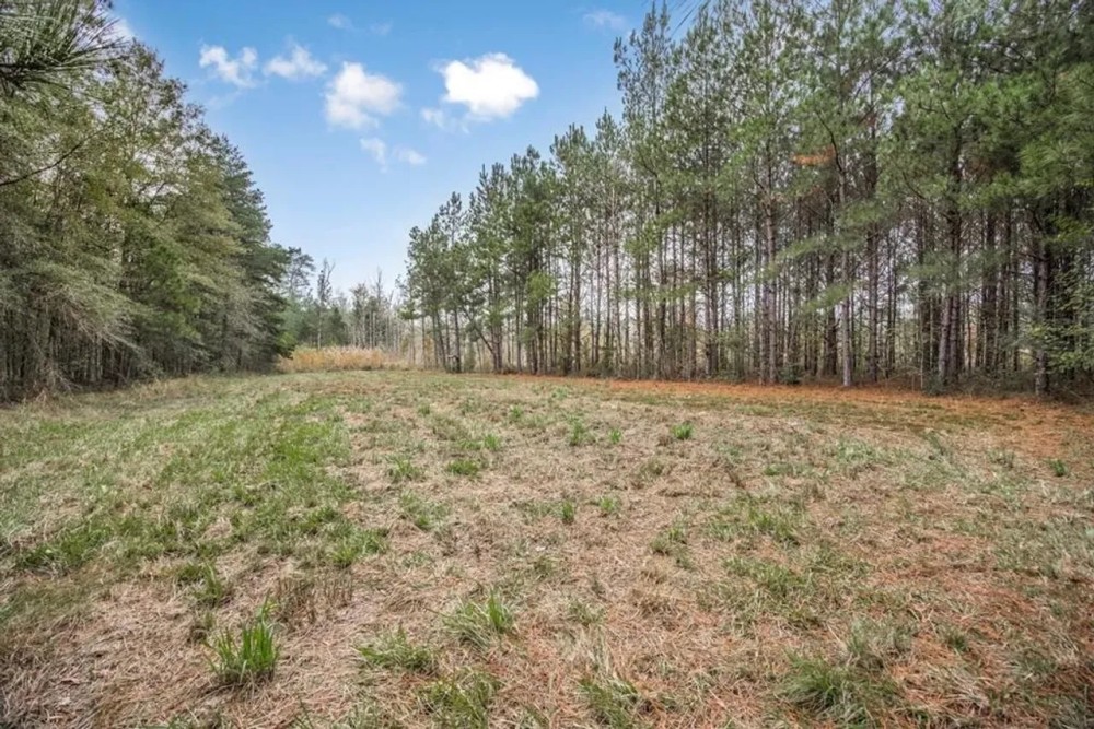 100 - Acres with Camp for Sale in Simpson County MS featured image