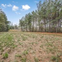100 - Acres with Camp for Sale in Simpson County MS