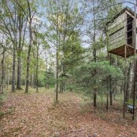 100 - Acres with Camp for Sale in Simpson County MS images 2