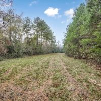 100 - Acres with Camp for Sale in Simpson County MS images 3