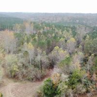 Marion County Tract 2D images 4