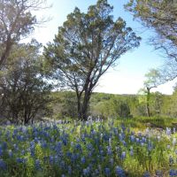 Smith Ranch - 30 acres images 4