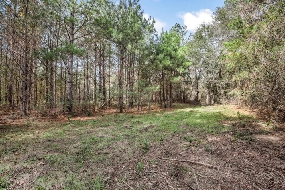 8 - Acres for Sale Just Outside of Brookhaven featured image