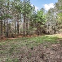 8 - Acres for Sale Just Outside of Brookhaven