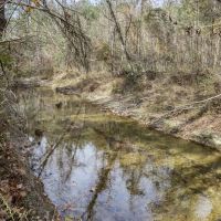 8 - Acres for Sale Just Outside of Brookhaven images 3