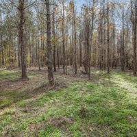 8 - Acres for Sale Just Outside of Brookhaven images 4