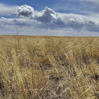 Large Parcel of Grassland CRP in Close Proximity to Blue Lake Reservoir images 1