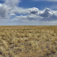Large Parcel of Grassland CRP in Close Proximity to Blue Lake Reservoir images 2