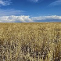 Large Parcel of Grassland CRP in Close Proximity to Blue Lake Reservoir images 3