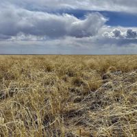 Large Parcel of Grassland CRP in Close Proximity to Blue Lake Reservoir images 4