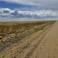 Large Parcel of Grassland CRP in Close Proximity to Blue Lake Reservoir images 5