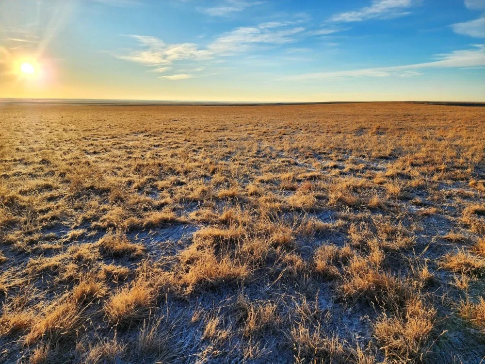 Small Parcel of CRP with Close Proximity to Denver Metro featured image