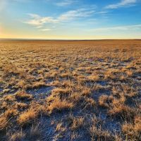 Small Parcel of CRP with Close Proximity to Denver Metro