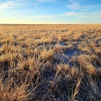 Small Parcel of CRP with Close Proximity to Denver Metro images 2