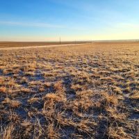 Small Parcel of CRP with Close Proximity to Denver Metro images 5