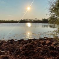 Back on the Market 140 - Acres Jones County images 1