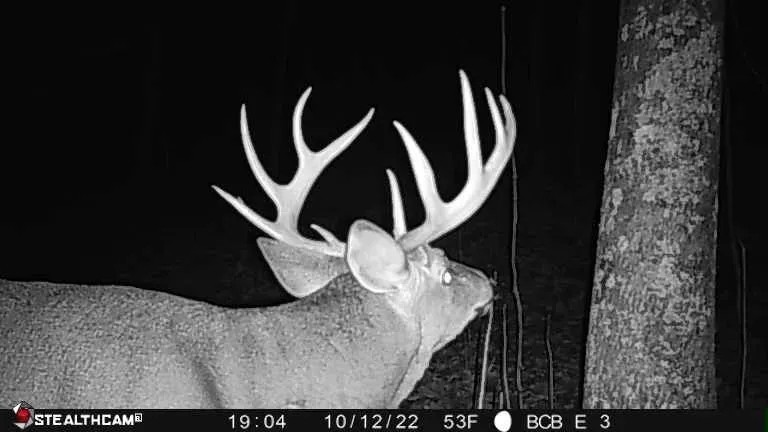 Affordable Hunting Land with Trout Stream for Sale in Richland County Wisconsin featured image
