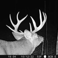 Affordable Hunting Land with Trout Stream for Sale in Richland County Wisconsin