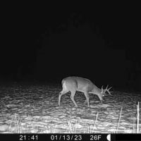 Affordable Hunting Land with Trout Stream for Sale in Richland County Wisconsin images 2