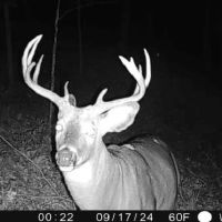 Affordable Hunting Land with Trout Stream for Sale in Richland County Wisconsin images 3