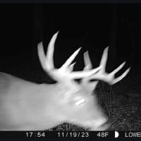 Affordable Hunting Land with Trout Stream for Sale in Richland County Wisconsin images 4