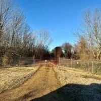21.6 Acres in Quitman County in Sledge MS images 3