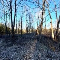 21.6 Acres in Quitman County in Sledge MS images 5