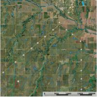 80.4 Acres Hunting Tract Ellsworth County KS Lorraine KS images 5