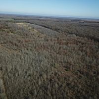 LA - Richland 120 acres -