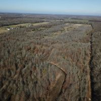 LA - Richland 120 acres - images 2