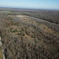 LA - Richland 120 acres - images 3
