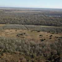 LA - Richland 120 acres - images 4
