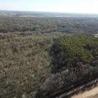 LA - Richland 120 acres - images 5