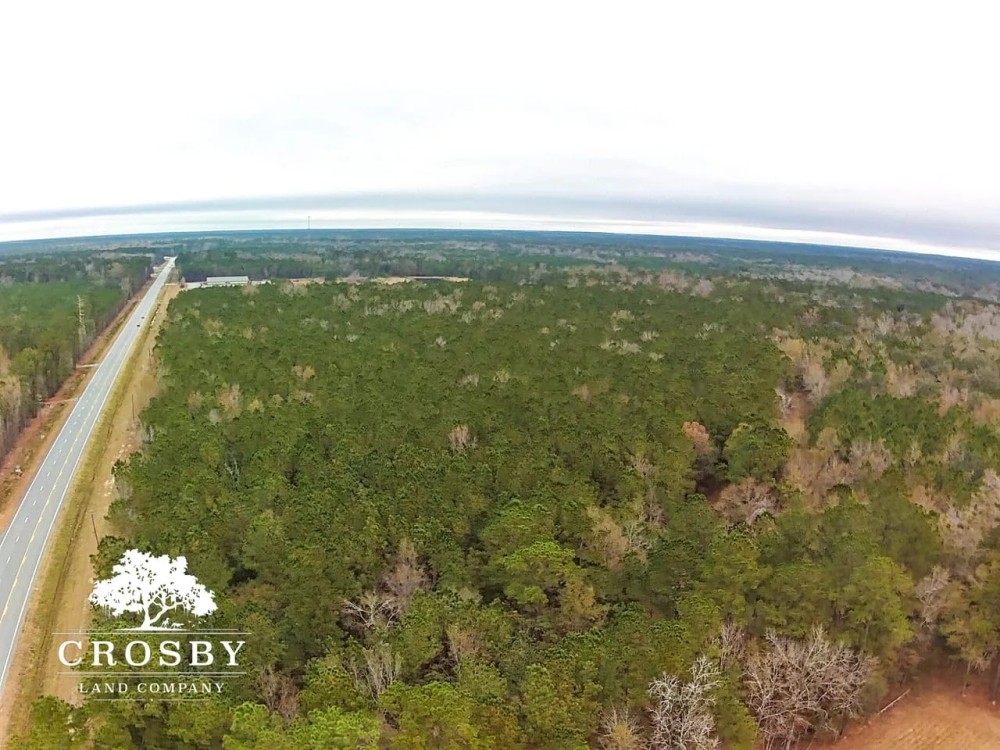 Highway 17 Tract featured image