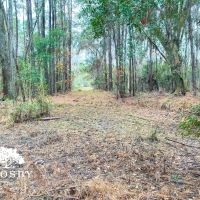 Highway 17 Tract images 2
