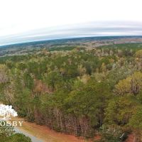 Highway 17 Tract images 4