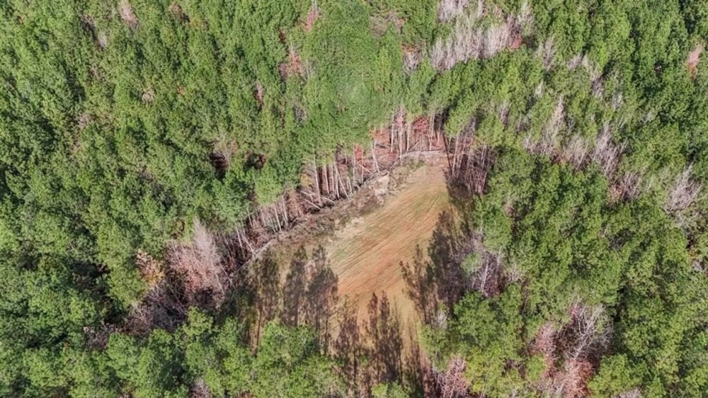 40 - Acres for Sale Just Outside of Brookhaven featured image